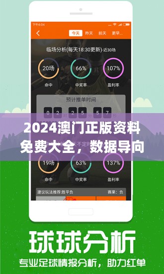 新澳2024今晚开奖资料四不像,新澳2024今晚开奖资料四不像，探索彩票背后的故事与挑战