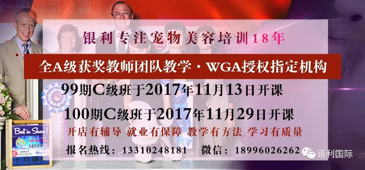 77778888管家婆必开一肖,探索77778888管家婆的生肖预测奥秘——必开一肖揭秘