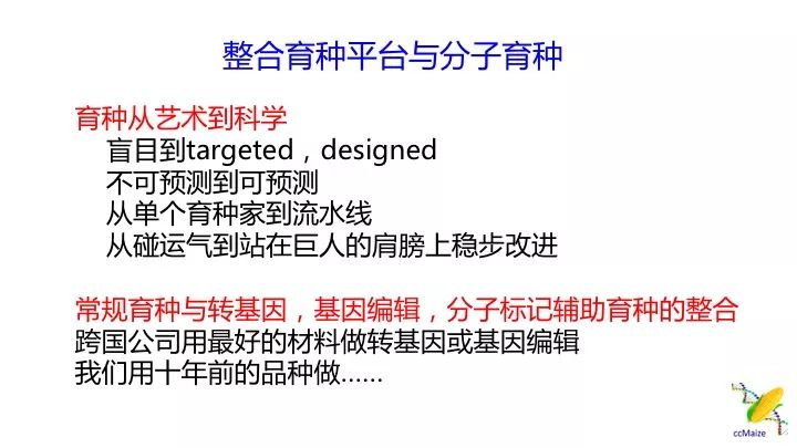 新澳资料免费最新正版,新澳资料免费最新正版，助力学术研究与个人成长的无形桥梁