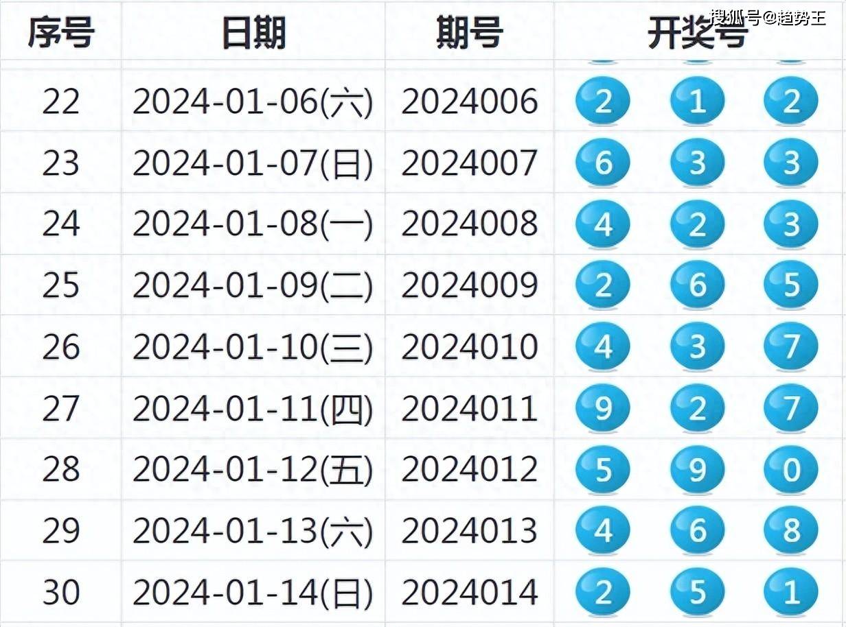 2024新奥历史开奖记录,揭秘2024新奥历史开奖记录，数据与故事的交织