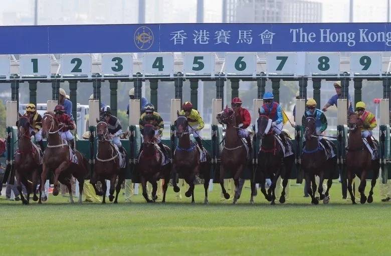 香港2024最准马资料免费,香港2024年最准马资料免费，探索赛马运动的魅力与预测的准确性