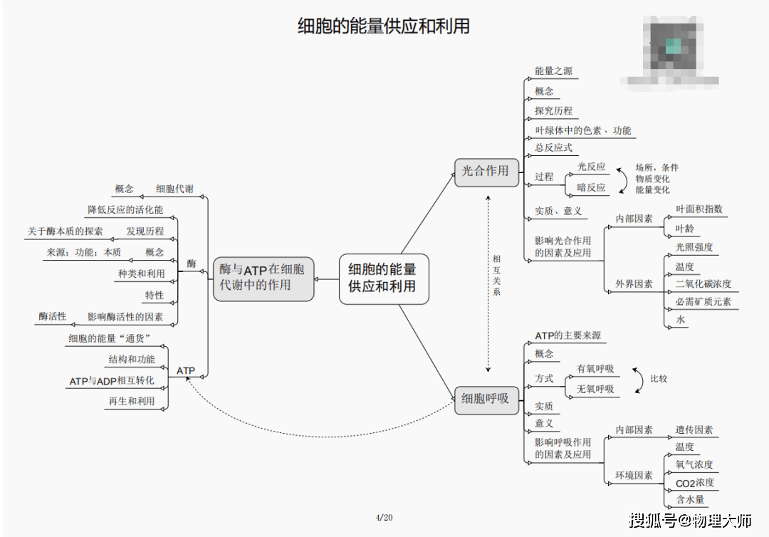 打草惊蛇 第4页