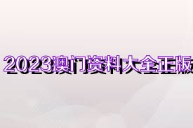 新澳门资料大全正版资料2023,关于新澳门资料大全正版资料2023的探讨与理解