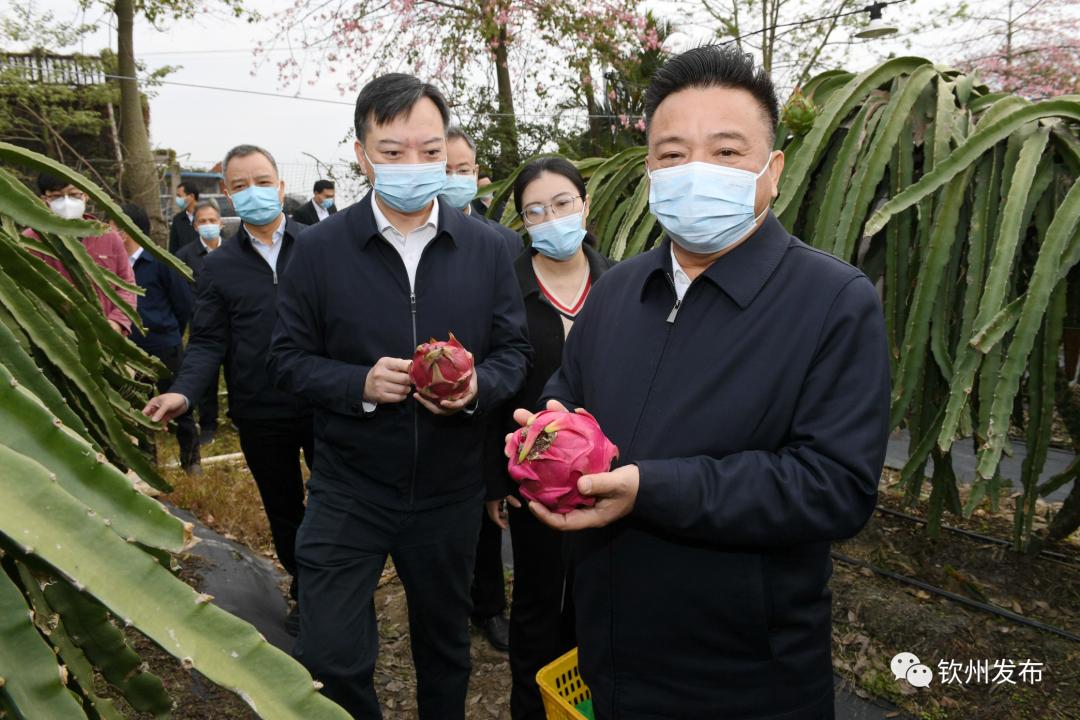 新澳精选资料免费提供,新澳精选资料免费提供，助力学习与进步的宝贵资源