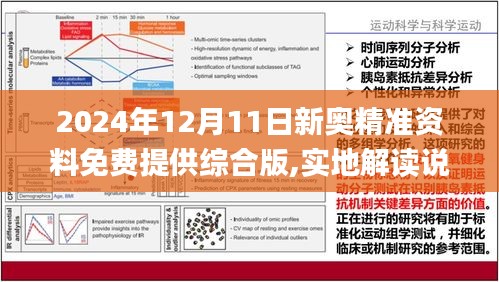 2025新奥精准资料免费大全078期,2025新奥精准资料免费大全（第078期）详解