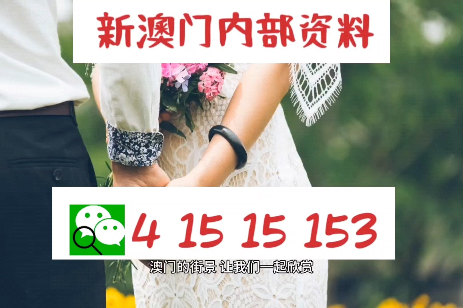 2025新澳正版资料035期 06-07-34-42-47-48M：12,探索2025新澳正版资料第035期——解密数字组合的魅力