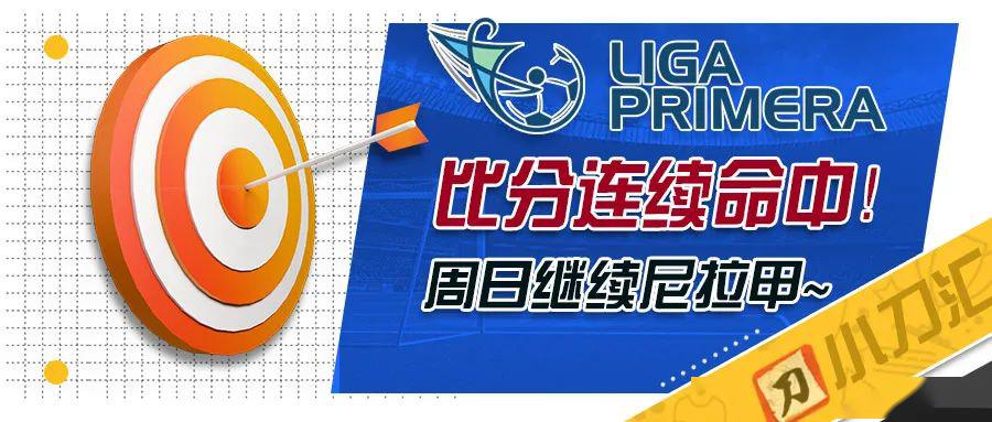 2025新奥资料免费精准096期 14-47-09-02-42-21T：31,探索未来，聚焦新奥资料免费精准096期