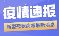 新澳精准正版资料免费119期 03-09-31-40-47-49Z：33,新澳精准正版资料免费分享，探索第119期的奥秘与策略（附03-09-31-40-47-49Z，33详解）