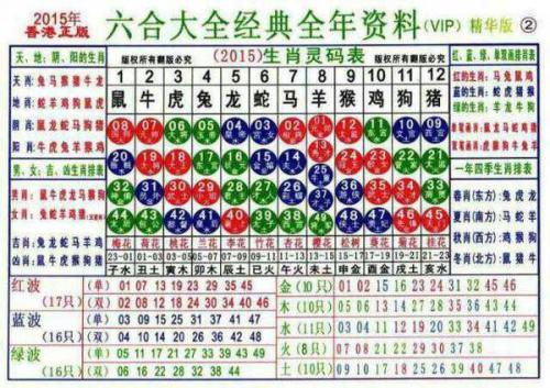 2025十二生肖49个码004期 04-49-26-19-30-44T：10,探索十二生肖与彩票密码，一场神秘而有趣的结合