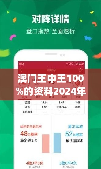 新澳门王中王100%期期中2025081期 05-08-29-33-34-45A：07,新澳门王中王期期中奥秘，探索与解析（针对特定期次）