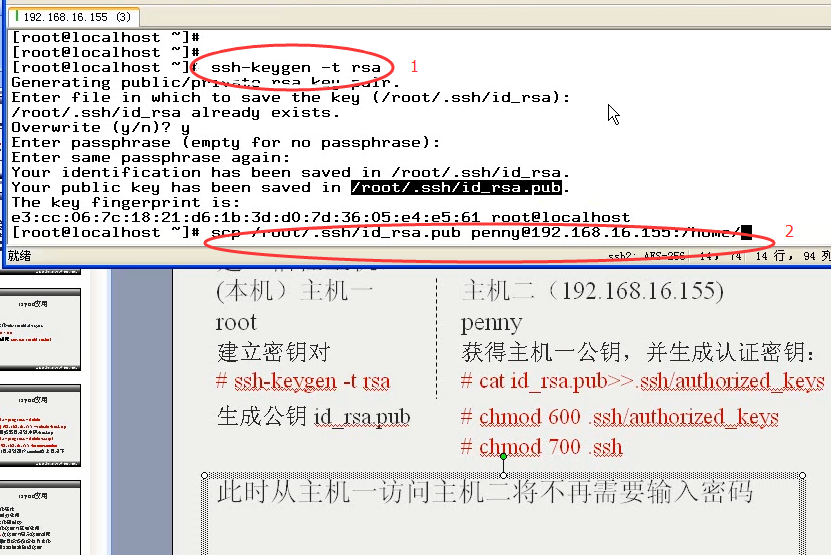 澳门三肖三码精准100%公司认证039期 03-08-12-15-16-39C：27,澳门三肖三码精准100%公司认证，揭秘彩票预测背后的秘密与真相（第039期深度解析）